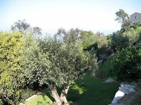 Villa Alamp Super Cannes -Vue Mediterranee Exceptionnelle - 4 Chambres Avec Salles De Bain Wc - Piscine Privee Sans Vis-A-Vis - Rooftop Panoramique Валлорис Дом отдыха